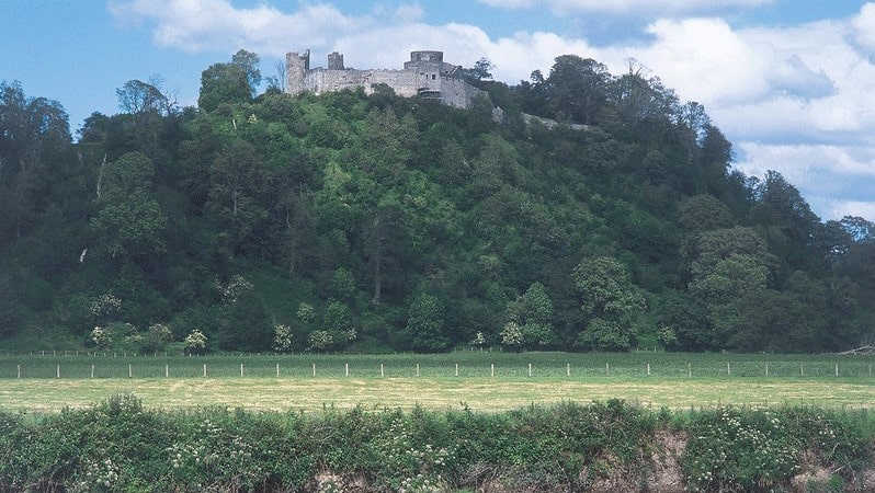 Dinefwr Castle