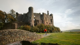 Road Cycling