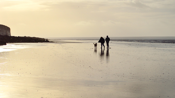 Dog friendly beaches